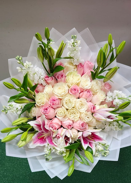 3703bc71-be14-4150-954e-c95c67928f78